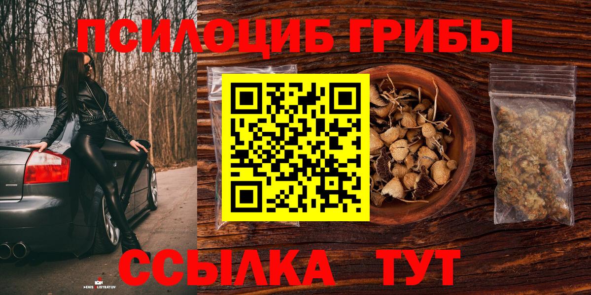 Псилоцибиновые грибы Cubensis Еманжелинск